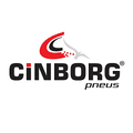 Cinborg