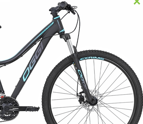Bicicleta Oggi 29 Float Sport Shimano Tourney 21 Velocidades