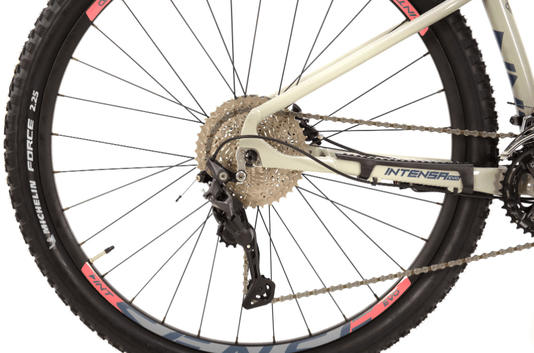 Bicicleta Aro 29 Sense Intensa Evo Shimano Deore 20 Velocidades Freios Hidráulicoscinza/Salmão S/15
