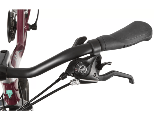 Bicicleta Caloi Ceci Shimano 21 Velocidades
