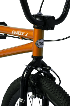 Bicicleta Bmx Pro-X Aro 20 Série 7