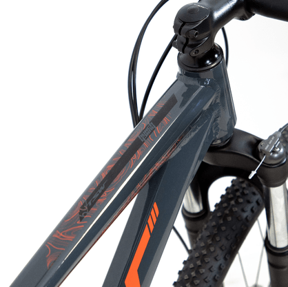 Bicicleta Tsw Hunch Alumínio Aro 29 Freios À Disc H 24V