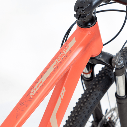 Bicicleta Aro 29 Tsw Hunch Plus 27V Shimano Alivio Freios Hidr Flamingo