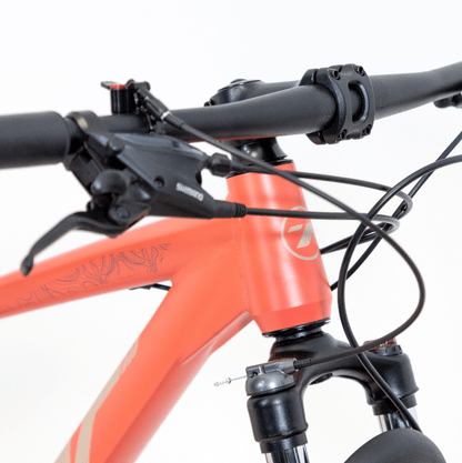 Bicicleta Aro 29 Tsw Hunch Plus 27V Shimano Alivio Freios Hidr Flamingo