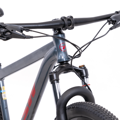 Bicicleta Aro 29 Tsw Ride Plus 21V Shimano Tourney Freios Hidráulicos