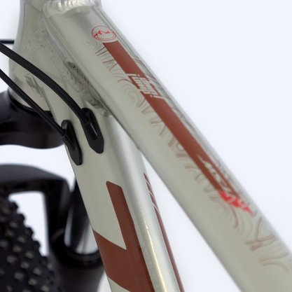 Bicicleta Tsw Jump Plus Sr Alumínio Aro 29 Freios Shimano Hidráulico 10V