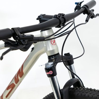 Bicicleta Tsw Jump Plus Sr Alumínio Aro 29 Freios Shimano Hidráulico 10V