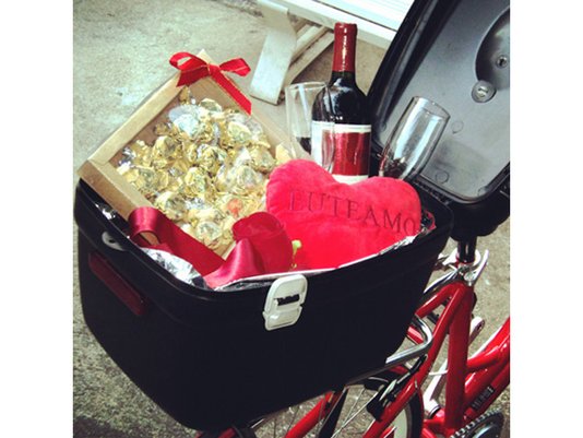 Baú Box Bike Kalf