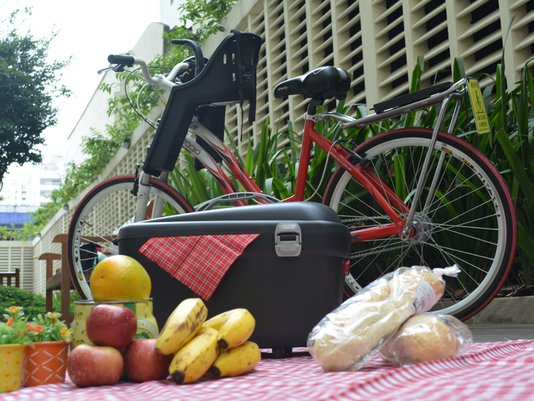 Baú Box Bike Kalf