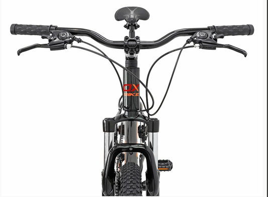 Bicicleta Mtb Ox Glide Aro 29 21V Freios Mecânicos