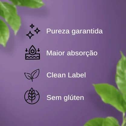 Creatina Monohidratada Alquimia Da Saude 300G