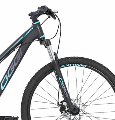 Bicicleta Oggi 29 Float Sport Shimano Tourney 21 Velocidades