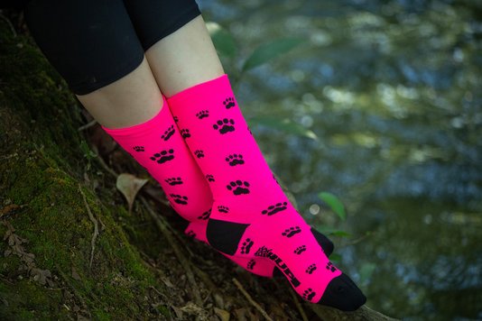 Meia De Ciclismo Hupi Love Pets Rosa Lt- Para Pés Menores