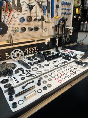 Revisão Elite - Completa