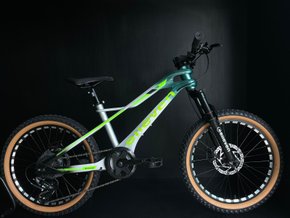 Bicicleta Infantil Aro 20 - Elleven