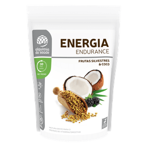 Pré Treino Energia Endurance - Smoothie Frutas Silvestres E Coco Alquimia Da Saúde 350G