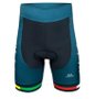 Bermuda De Ciclismo Roy Alpro Fizik/Crankbrothers